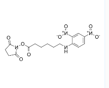 CAS号：82321-04-8；DNP-X 酸, SE；6-(2,4-二硝基苯胺基)己酸-N-琥珀酰亚氨基酯