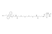  DADPS Biotin Alykne     