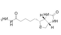   Biotin hydrazide HCl 