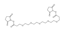Bis-PEG5-NHS ester 