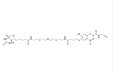 PC Biotin-PEG3-alkyne 