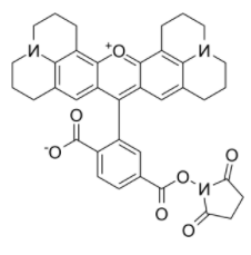 6-羧基-X-罗丹明琥珀酰亚胺酯 6-羧基-X-罗丹明琥珀酰亚胺酯