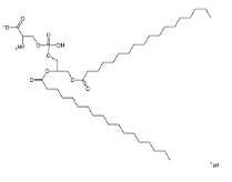 二硬酯酰磷脂酰丝氨酸钠（DSPS），321595-13-5 
