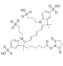 	AF647-NHS ester 