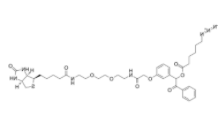 	UV Cleavable Biotin-PEG2-Azide 