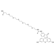 Fluorescein-thiourea-PEG6-acid	 