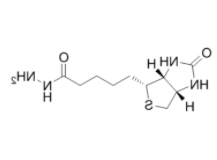 生物素酰肼	 