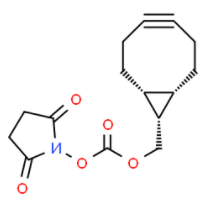 endo-BCN-NHS ester 
