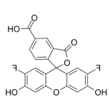 OG 488, acid 