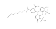AF488-Azide 