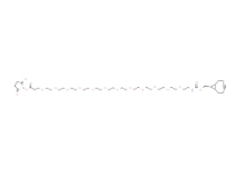 endo-BCN-PEG12-NHS ester，2183440-26-6