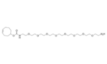 TCO-PEG8-amine 