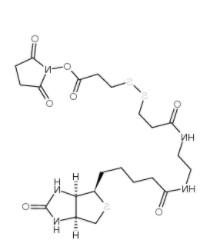	NHS-SS-(+)-Biotin 
