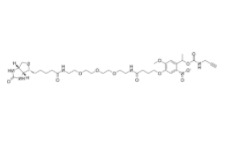 PC Biotin-PEG3-alkyne