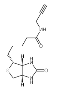 Biotin alkyne 