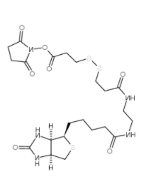 	NHS-SS-(+)-Biotin 