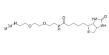 Biotin-PEG2-azide 