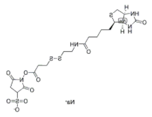 生物素二硫键活性酯 