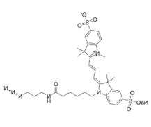 	Sulfo-cyanine3 azide sodium 