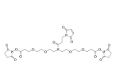 N-Mal-N-bis(PEG2-NHS ester) 
