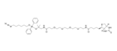 N3-Dadps-Biotin   