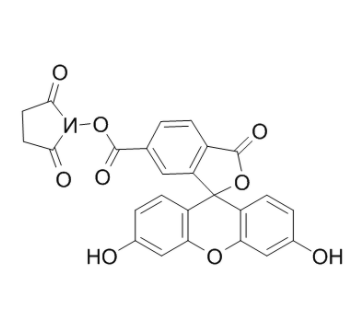 6-羧基荧光素琥珀酰亚胺酯 