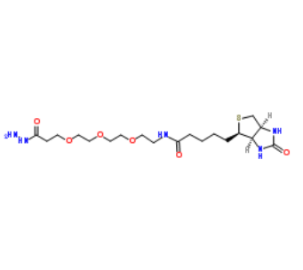Biotin-PEG3-propionic hydrazide 
