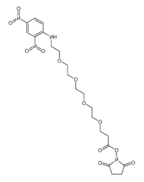 DNP-PEG4-NHS ester 