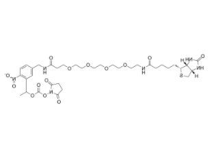 PC-Biotin-PEG4-NHS carbonate 