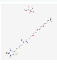 CAS号：194920-43-9，生物素PEG3胺，Biotin PEG3 amine