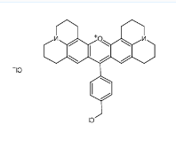 CAS号：167095-09-2，MitoLite CMXRos 线粒体红色染料