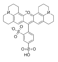 CAS: 60311-02-6，磺酰罗丹明101，Sulforhodamine 101