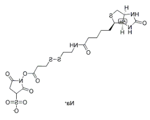NHS-SS-biotin 