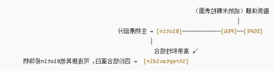 分子结构图解