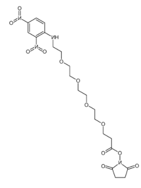 DNP-PEG4-NHS ester DNP-PEG4-NHS ester