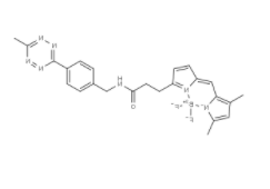 BDP FL methyltetrazine 