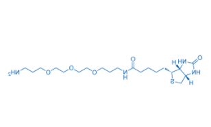 	Biotin-PEG3-C3-NH2 