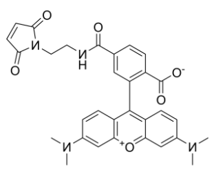 6-TAMRA maleimide 