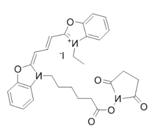 	CY2-SE 