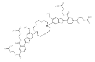 SBFI-AM 