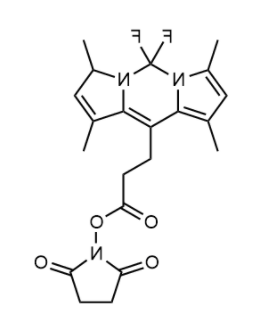 BODIPY 493/503 NHS 活化酯 