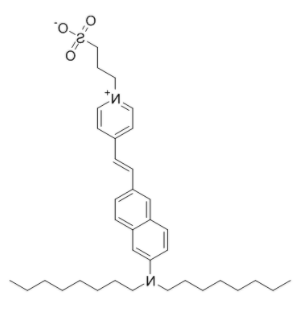 Di-8-ANEPPS 