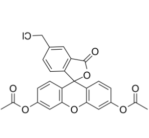 5-氯甲基荧光素二乙酸酯	 