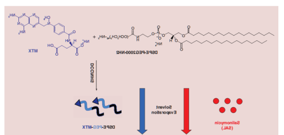 DSPE-PEG2000-NH2和甲氨蝶呤的羧基发生酰胺化反应的实验使用方法