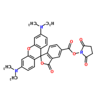 5(6)-羧基四甲基罗丹明琥珀酰亚胺酯 