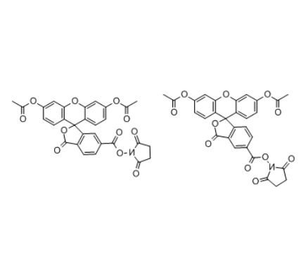 5(6)-羧基二乙酸荧光素琥珀酰亚胺酯(CFDA)	 