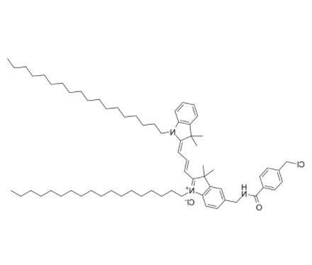 CM-DiI 