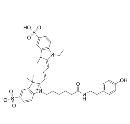 Cyanine 3 Tyramide 