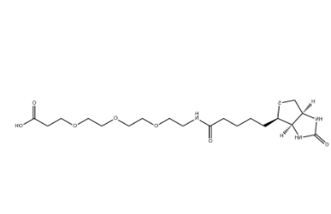 252881-76-8，(+)-Biotin-PEG3-CH2CH2COOH