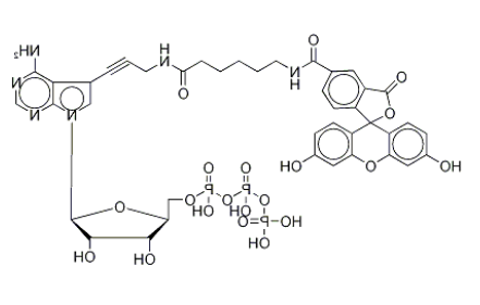 Fluorescein Alkynylamino-ATP 